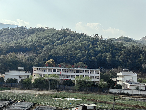 青春力量扎根基层 乡村振兴写出新篇4.jpg