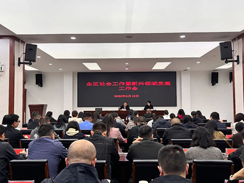 全区社会工作暨新兴领域党建工作会议召开.jpg