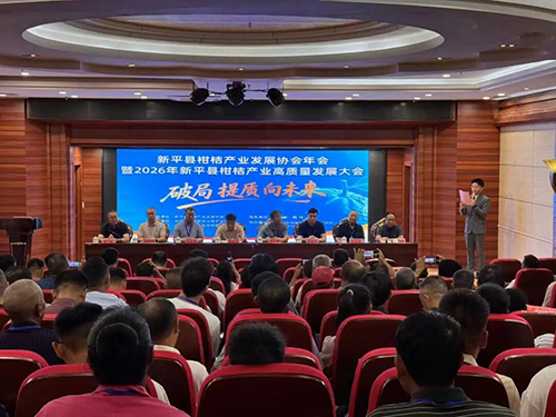 新平：专家献策助力柑桔破局提质.jpg
