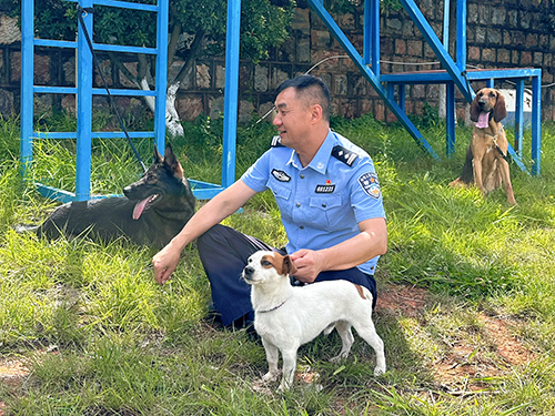 二十四载相伴“无言战友”初心如磐守护一方平安——记玉溪市公安局警犬训导员李素苇