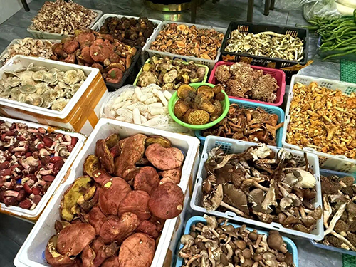易门:野生菌餐饮市场迎来消费热潮1.jpg 易门:野生菌餐饮市场迎来消费热潮1.jpg