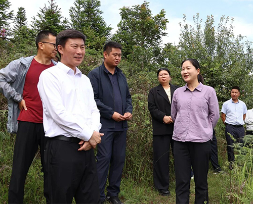 施文在平掌 建兴 漠沙调研时强调：立足资源优势发展特色产业.jpg