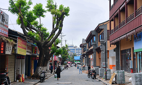 探访新兴州城历史片区城市更新项目一线