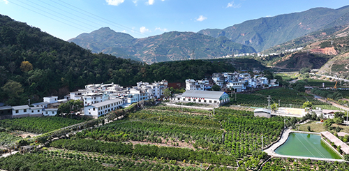产业兴旺 乡村蝶变 大地丰收 生活富裕.jpg