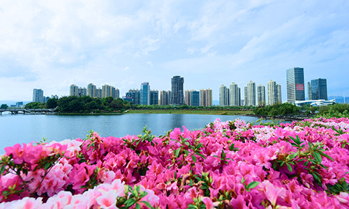 城乡共融天地阔 滇中名城焕新颜3.jpg 城乡共融天地阔 滇中名城焕新颜3.jpg