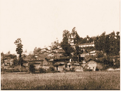 2500375.jpg 2500375.jpg
