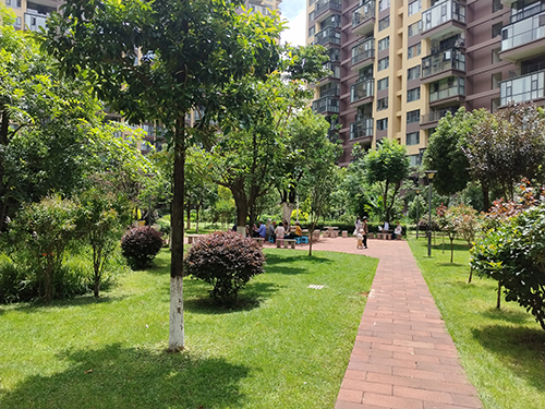 党建领航善治路 城乡共治惠民生3.jpg 党建领航善治路 城乡共治惠民生3.jpg