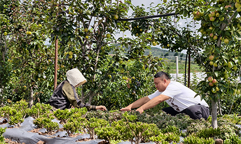 新农人普汉成扎根乡土发展多肉产业助力乡村振兴