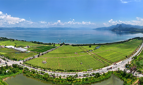 澄江：厚植生态底色做强文旅产业