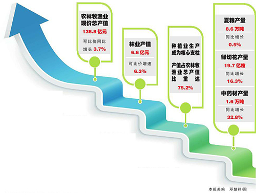 上半年玉溪农业经济稳中向好.jpg