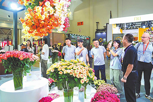 玉溪20余家花卉企业亮相昆明国际花卉展.jpg