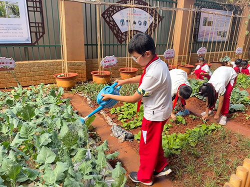 中小学生展示劳动教育成果.jpg