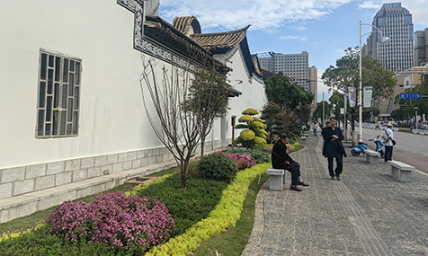 街角焕新 老城添绿——玉溪新兴州城项目3号口袋公园改造见闻