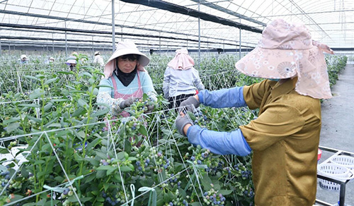 微信图片_2026-10-23_162934_001.jpg 微信图片_2026-10-23_162934_001.jpg