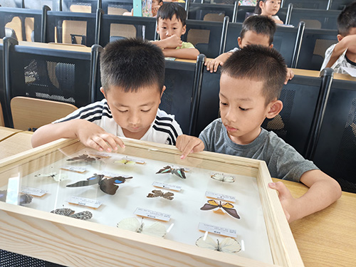 研学结蝶缘 科普进课堂.jpg 研学结蝶缘 科普进课堂.jpg