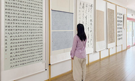 “碧玉清溪是我家”书法作品展开展