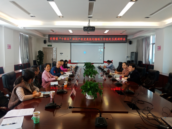 2021.2.8玉溪为云南省“十四五”知识产权发展规划建言献策121.png