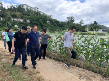 玉溪市市场监督管理局开展半年工作督查调研167.png