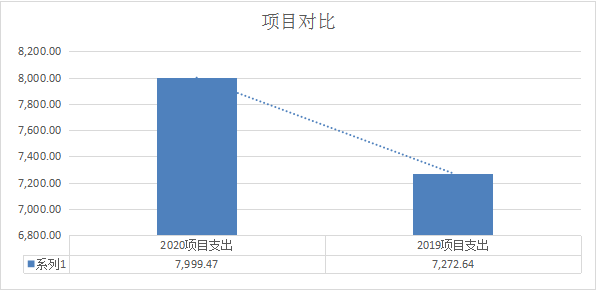 图片5项目支出.png