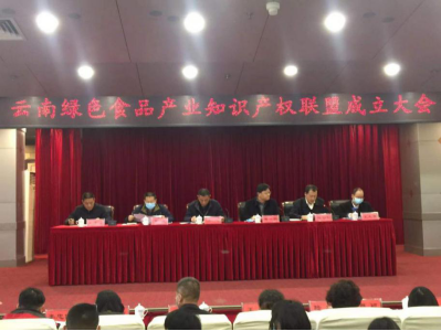49__工作简讯__第四十九期_玉溪高新区召开云南绿色食品产业知识产权联盟成立大会275.png