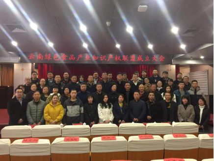 49__工作简讯__第四十九期_玉溪高新区召开云南绿色食品产业知识产权联盟成立大会692.png