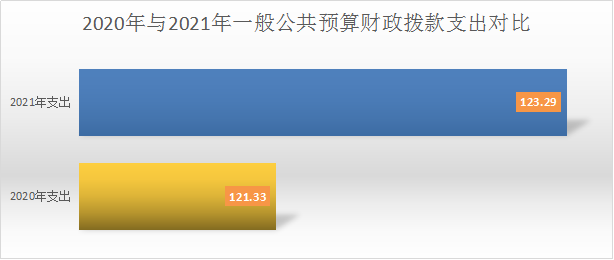 玉溪市知识产权援助中心2021年度部门决算公开报告3276.png