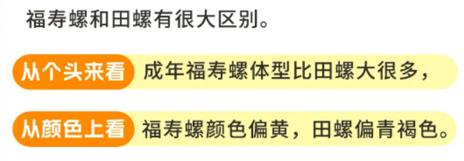 20240805螺类产品食用安全消费警示提示425.png