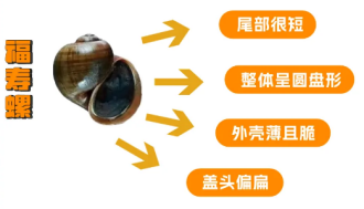20240805螺类产品食用安全消费警示提示512.png
