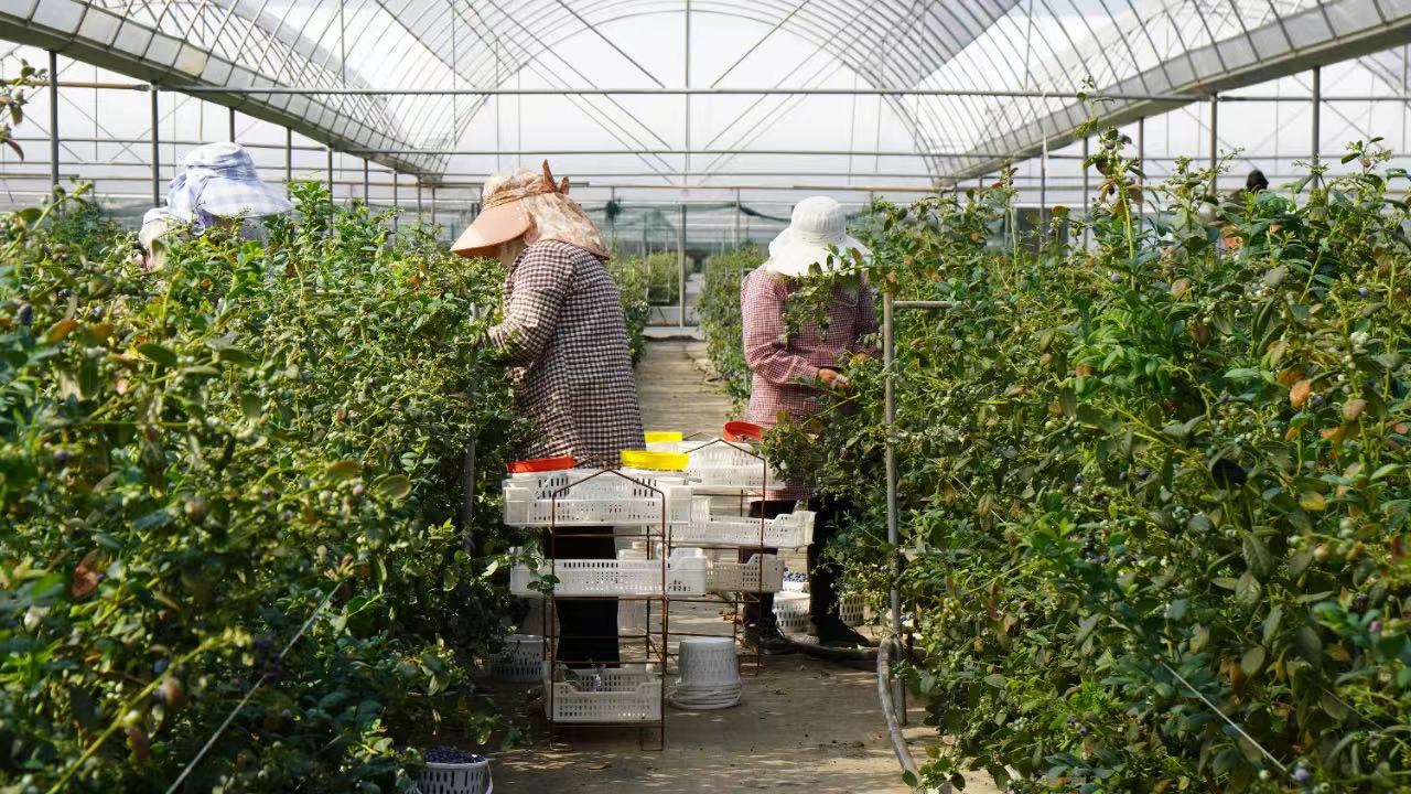 图片1.jpg 图片1.jpg