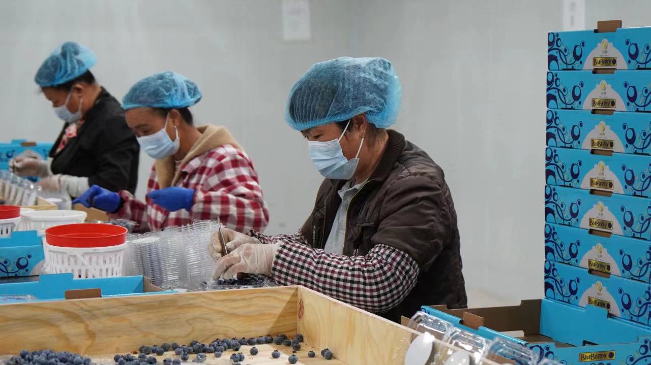 图片2.jpg 图片2.jpg